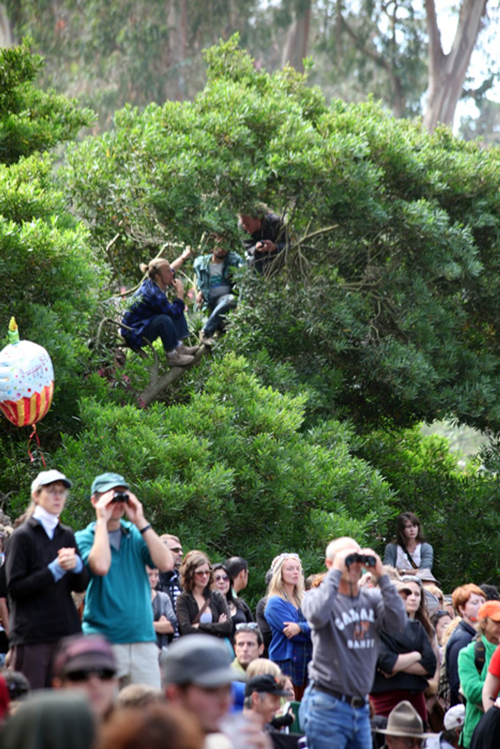 More Photos from Hardly Strictly Bluegrass 2010