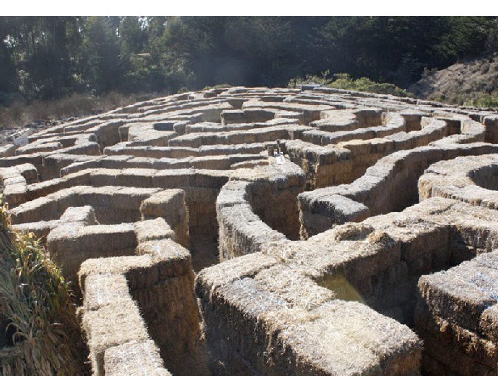 Seven Awesome Bay Area Pumpkin Patches