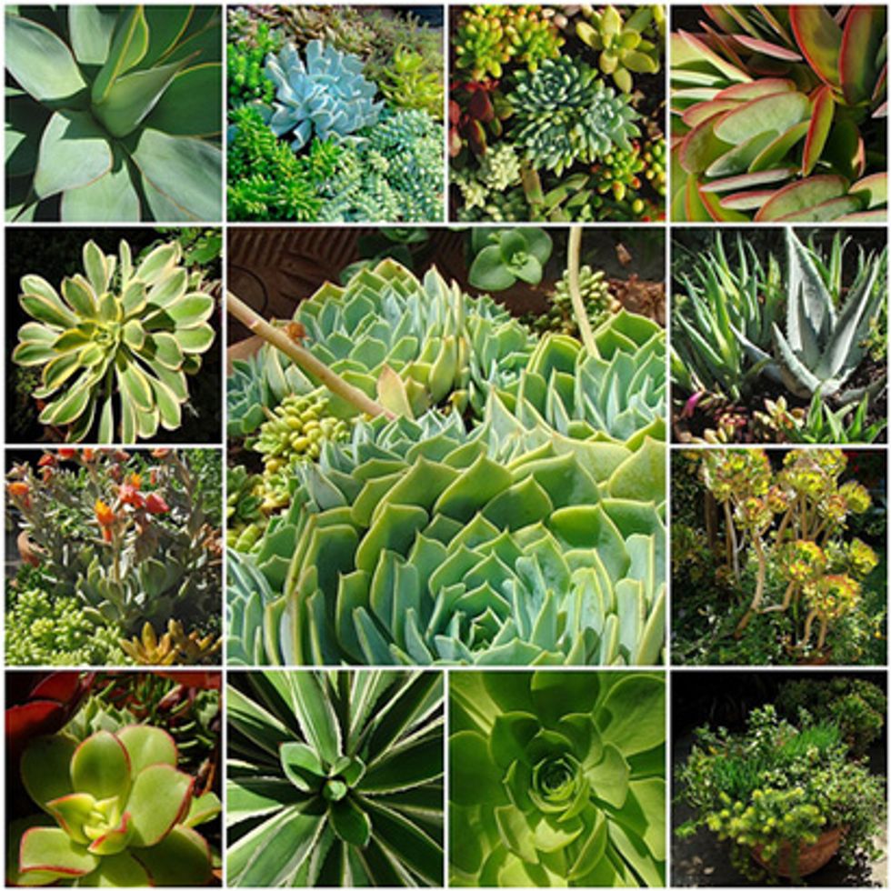 Stuff We Like: Revel Spa's Treatments, Public House at AT&T Park, Chilango's Tortilla Soup & More