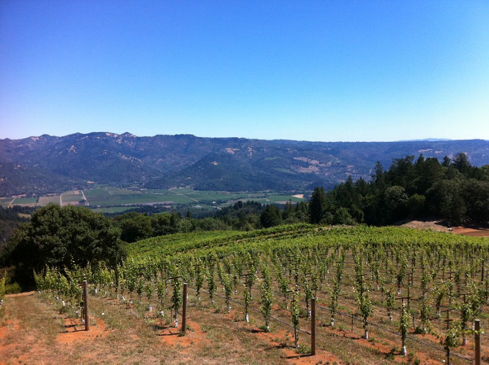 Napa Wineries With the Best Views 7x7 Bay Area