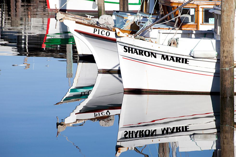 Pier to Plate: Part I