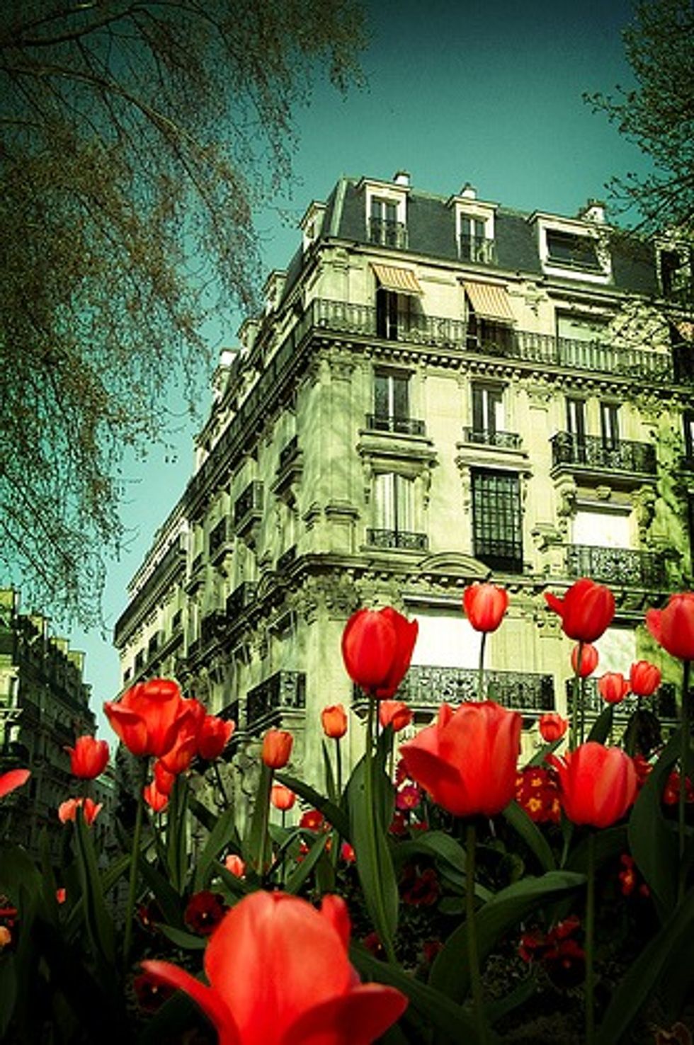 SF-Based StyleVISA Curates The World