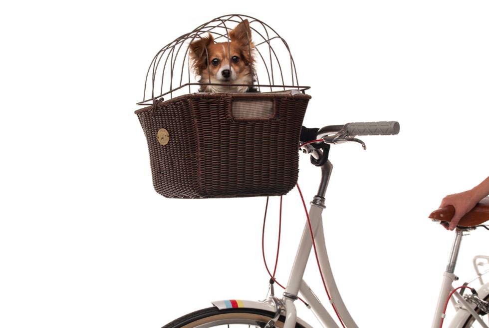 Seven Favorite Things: Gear from PUBLIC Bikes