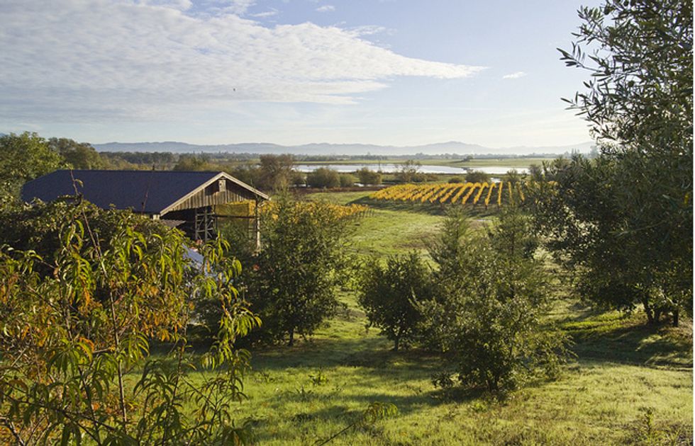 Wineries Where You Can Spend the Night 7x7 Bay Area