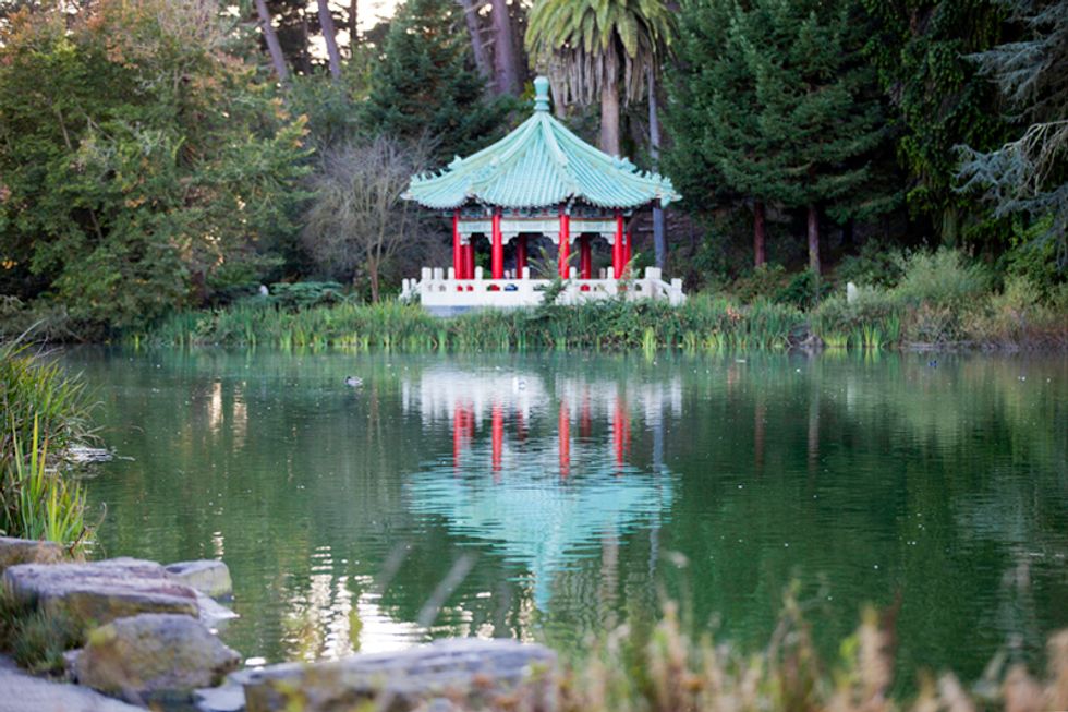 Scenes of the City: Golden Gate Park Part Two