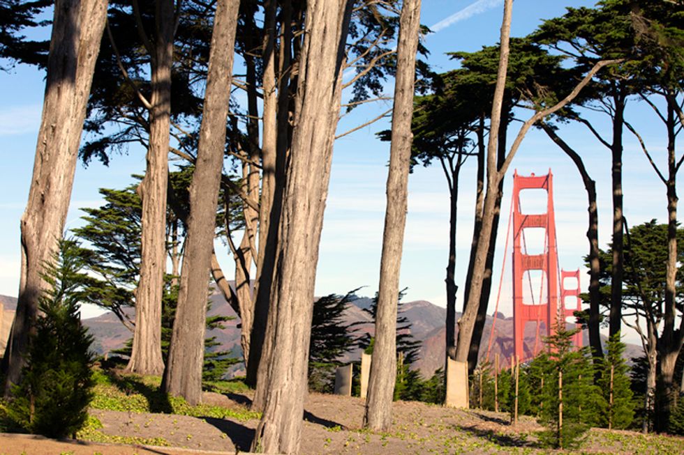 Scenes of the City: The Presidio