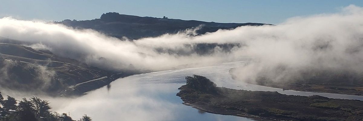 The Camino de Sonoma is unlike any other hike in the Bay Area.