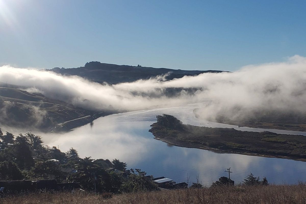 The Camino de Sonoma is unlike any other hike in the Bay Area.