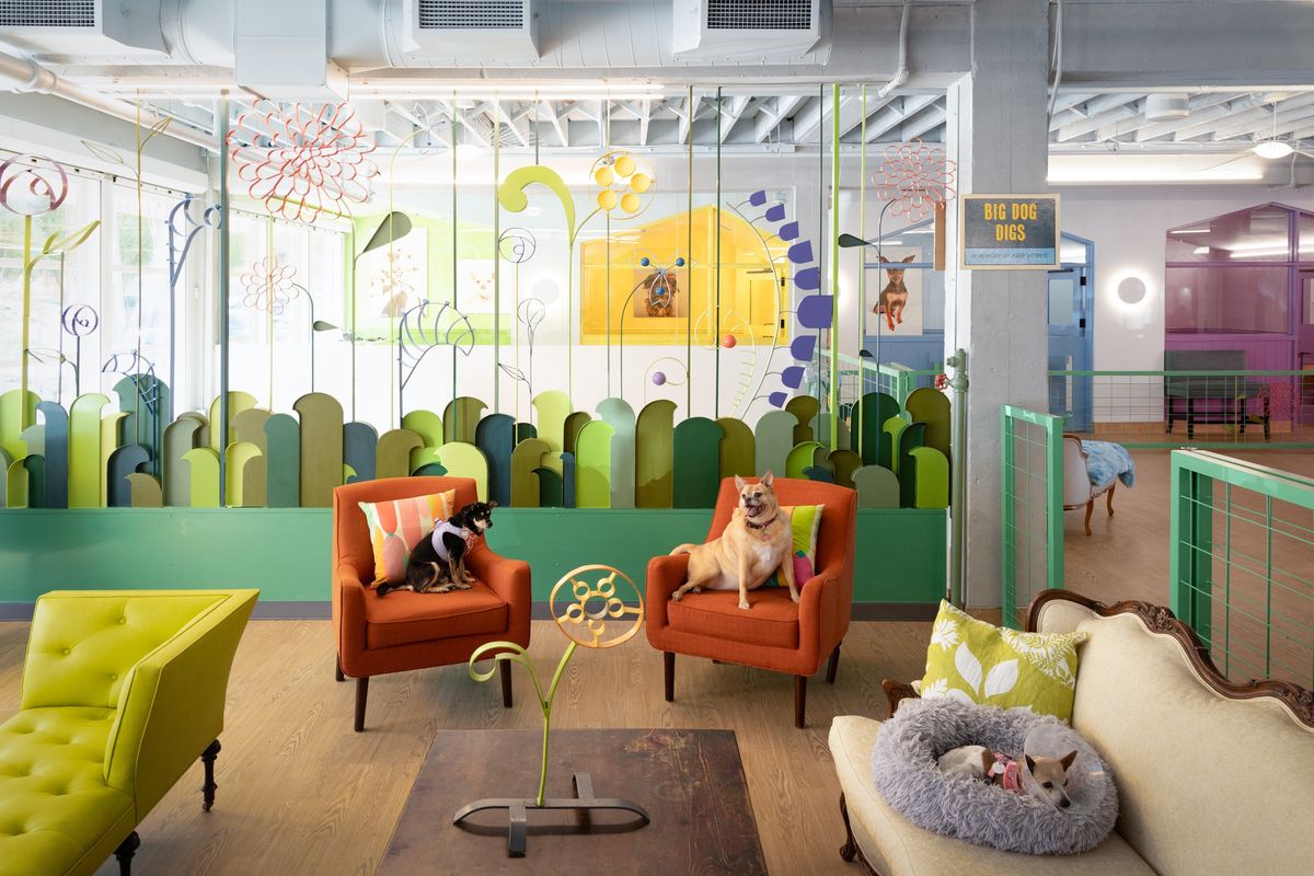 SF's Muttville joyfully re-envisions the dreary dog shelter—with the help of designer Ken Fulk.