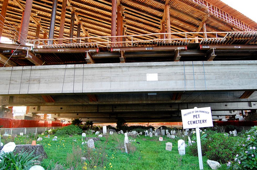 Secret San Francisco: The Presidio Pet Cemetery