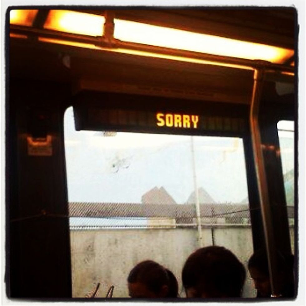 In Photos: Inside Muni Looking Out