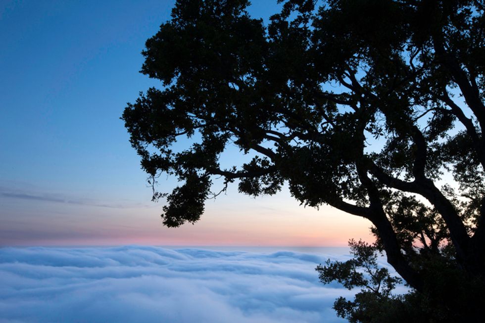 Escape from SF: Beautiful Big Sur