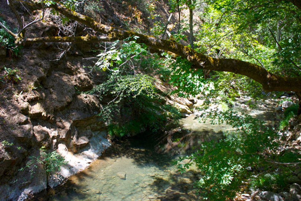 Zen and the Art of Unplugging: A Visit to Tassajara