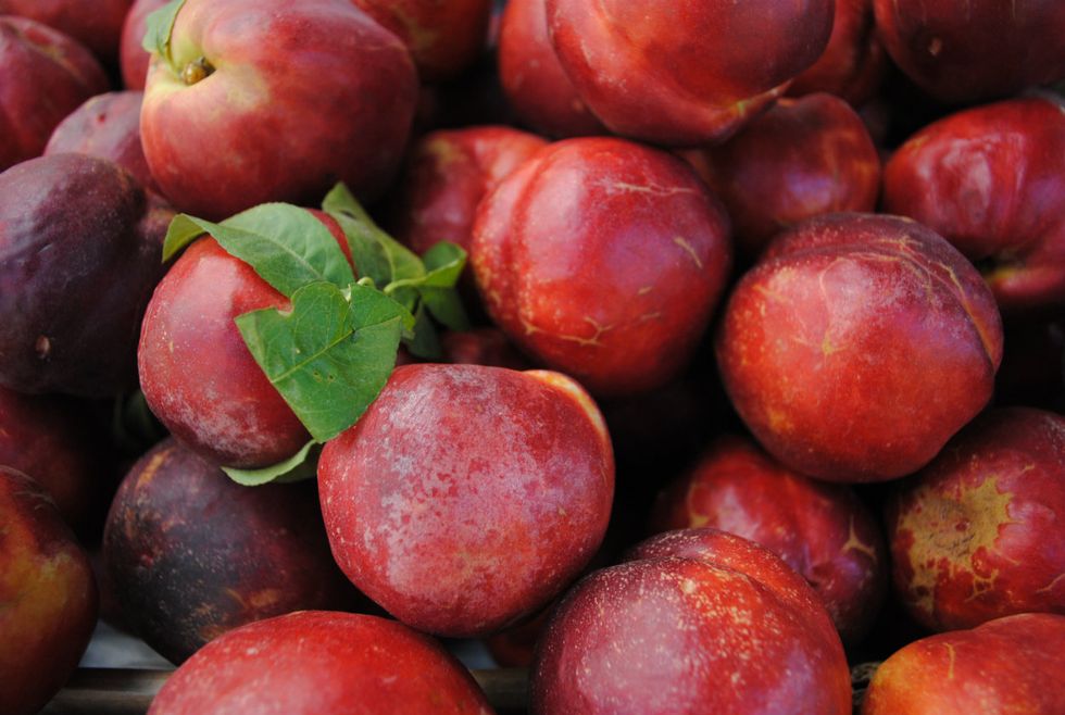 Five Reasons to Hit Up the Ferry Plaza Farmers Market This Month