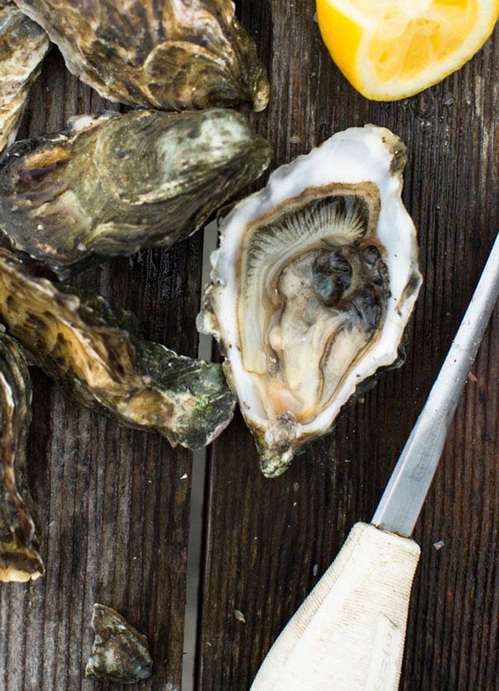 From Scratch: Drakes Bay Oyster Company