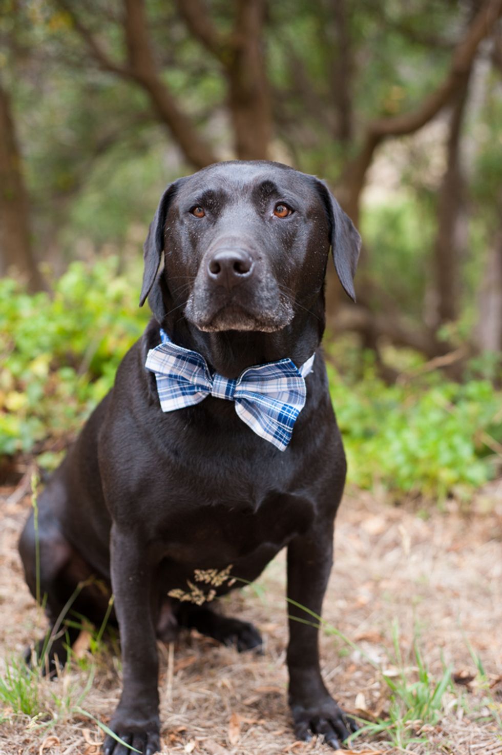 A DIY Wedding Meets the Headlands Center for the Arts