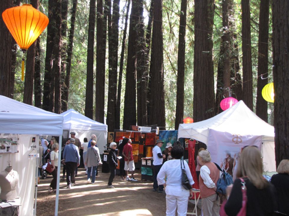 Win Tickets to the Mill Valley Fall Arts Festival