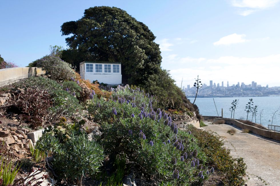 A Close-Up Look at the Colorful Gardens of Alcatraz