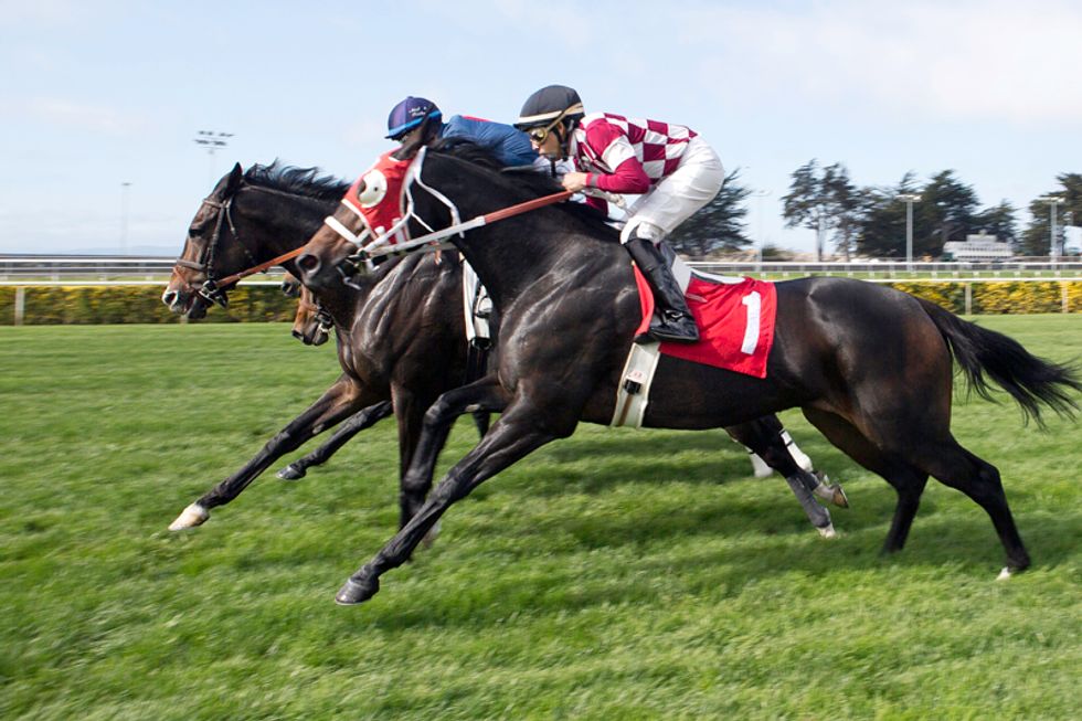 Scenes of the City: Golden Gate Fields