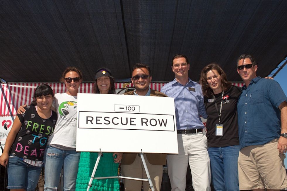 Photos: SF SPCA's 145th Anniversary Celebration and Adopt-A-Thon