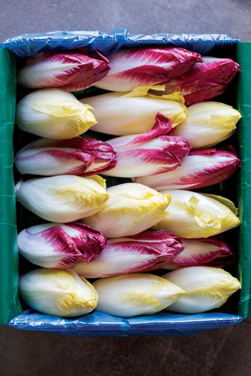 Endive's Rise to Cream of the Crop