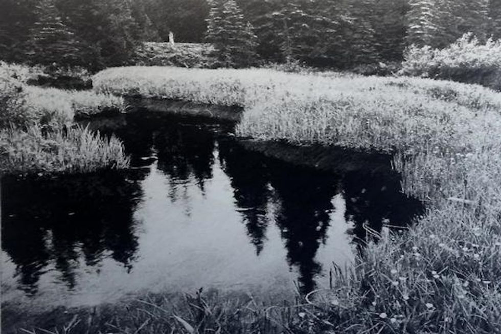 Art Openings: Photorealism, Female Bodies, and More Intriguing Works