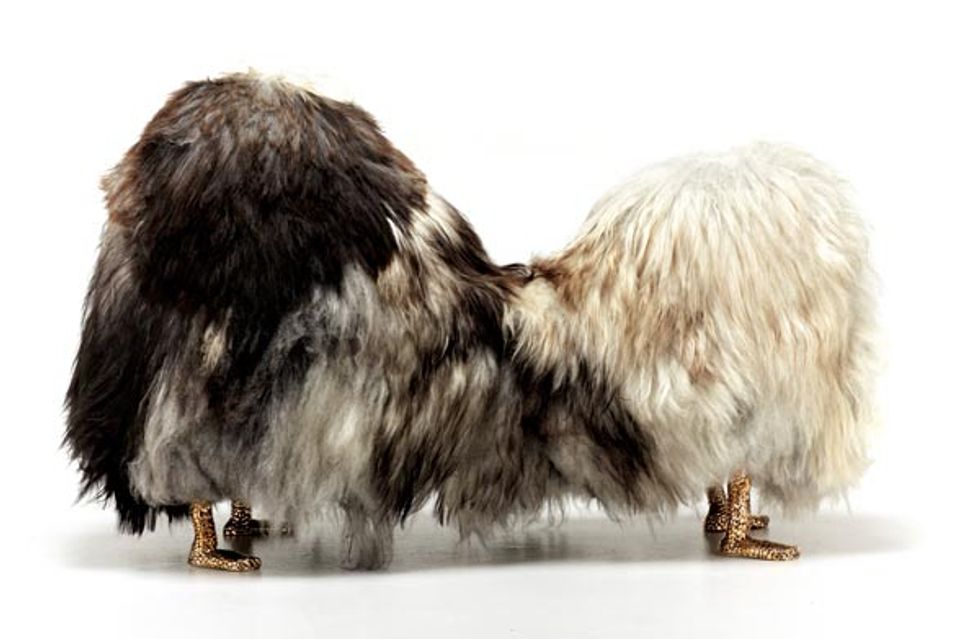 Go Wild with 6 Raw and Refined Objects for Adventurous Interiors