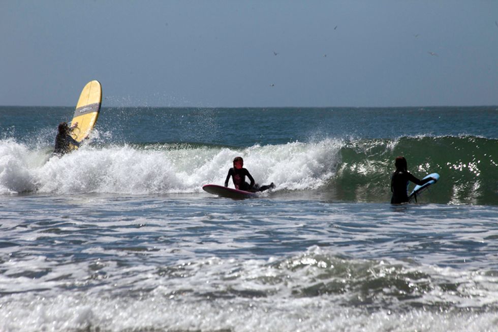 Scenes of the City: The Bucolic Hills and Rolling Surf of West Marin