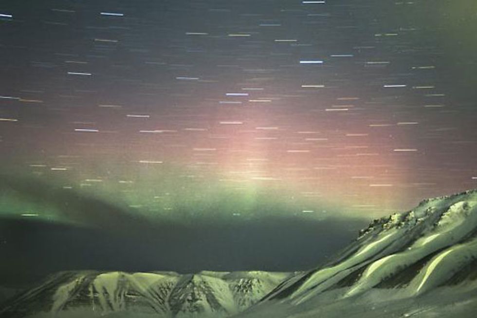 Michelle Grabner, Christine Elfman, and Other Hot Artists at SF's Galleries