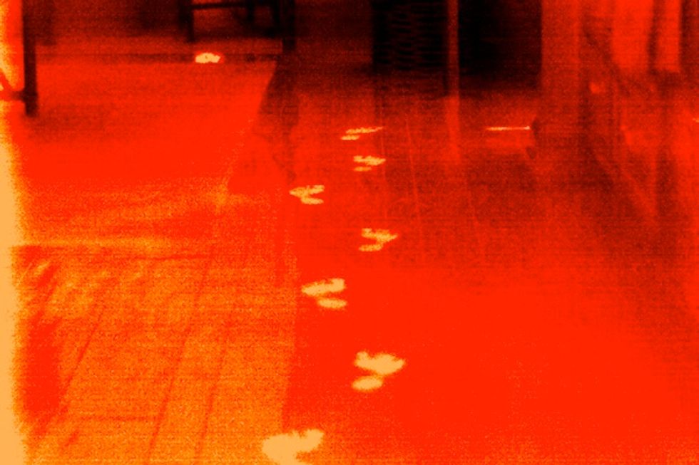 Seek Thermal Camera Gives Heat Vision to Smartphones