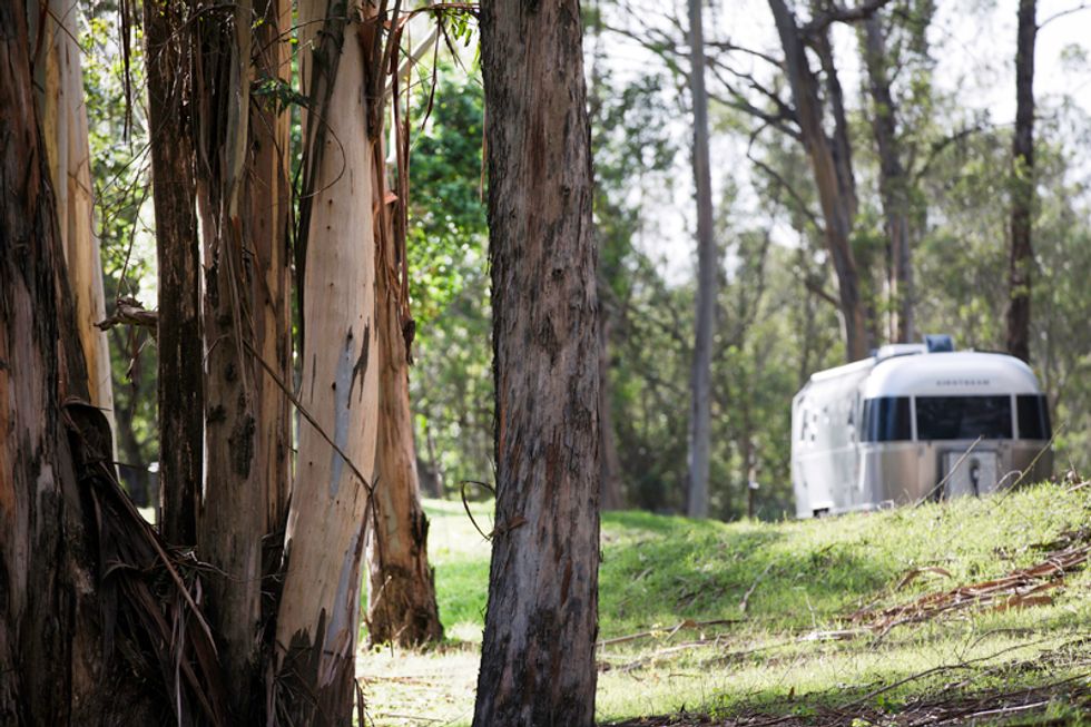 Escape From SF: Anthony Chabot Regional Park