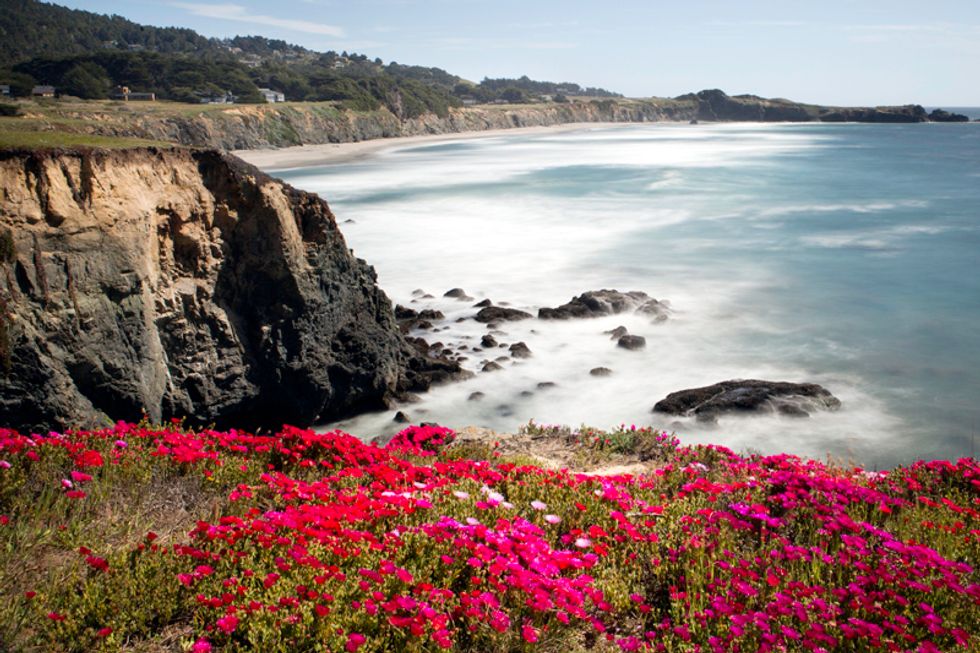 Escape From SF: Ocean Views + Architecture at Sea Ranch