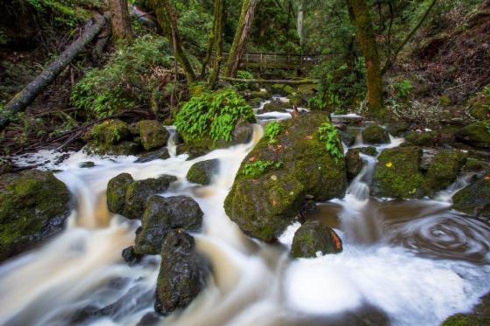 Discover Cataract Falls, A Bay Area Gem