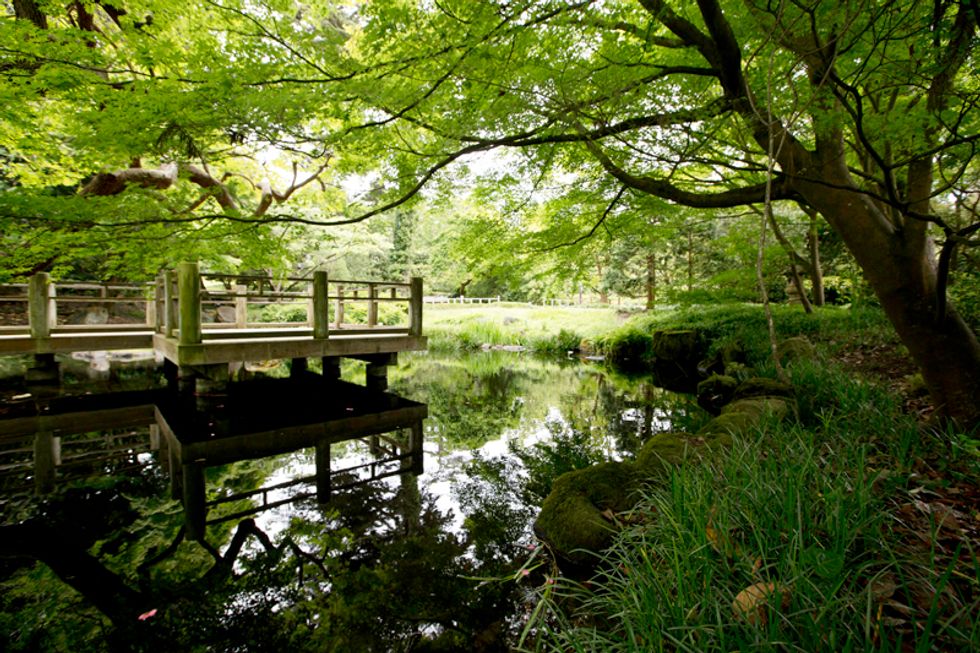 Scenes of the City: SF Botanical Garden Celebrates 75 Years