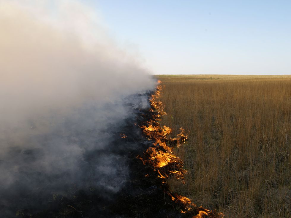 SF Camerawork Brings Summer Heat to Town in New Exhibit