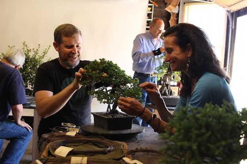 The History of Bonsai in The Bay Area - 7x7 Bay Area