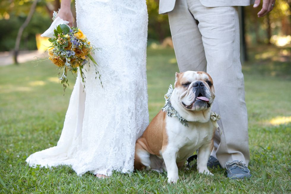 Wedding Inspiration: One Couple Finds Vintage Charm on a Sonoma Apple Orchard