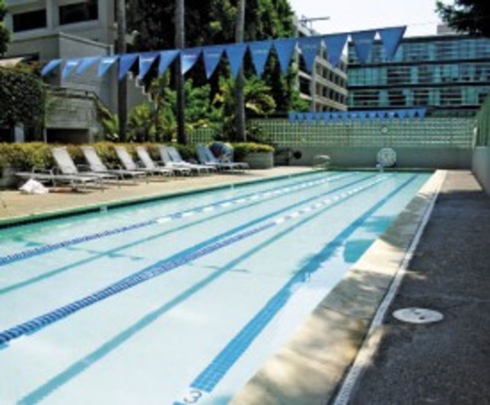 Pool Hunting: The Best of Bay Area Swimming