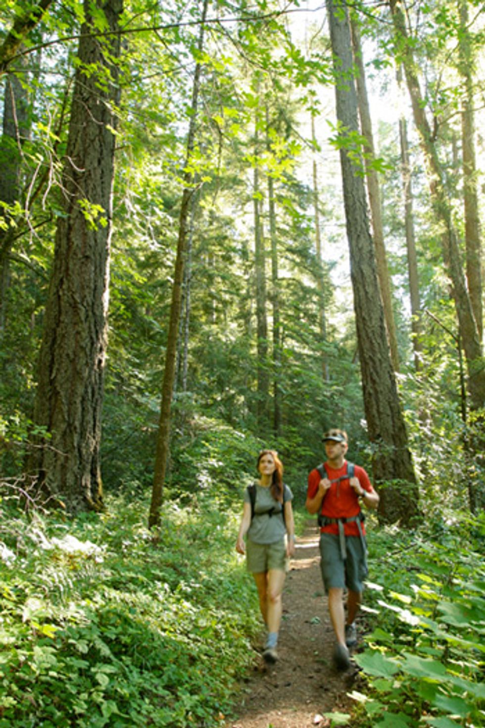 Weekend Sherpa: Hiking Bothe-Napa Valley State Park