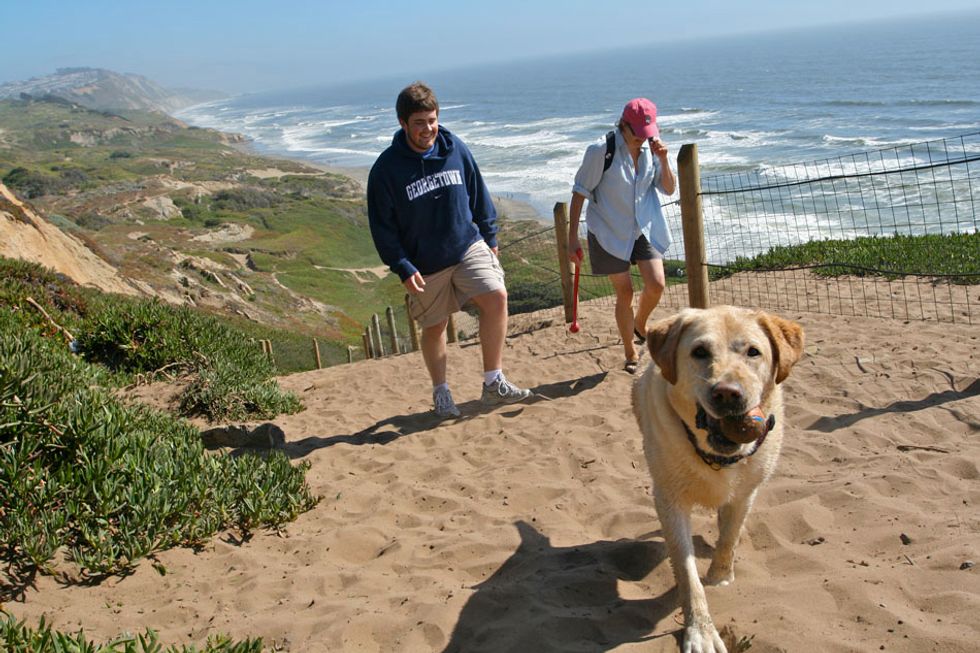 Weekend Sherpa: Hikes (With the Dog) at Fort Funston