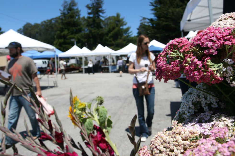 Weekend Sherpa: Santa Cruz's Westside Farmers Market