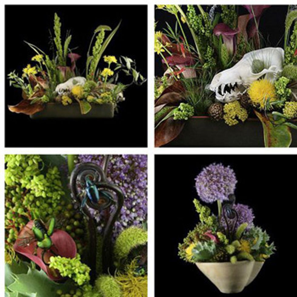 Spooky Centerpieces from Paxton Gate