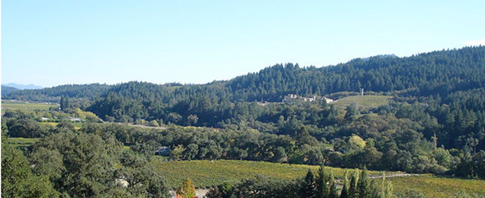 Northern California Winery Guide
