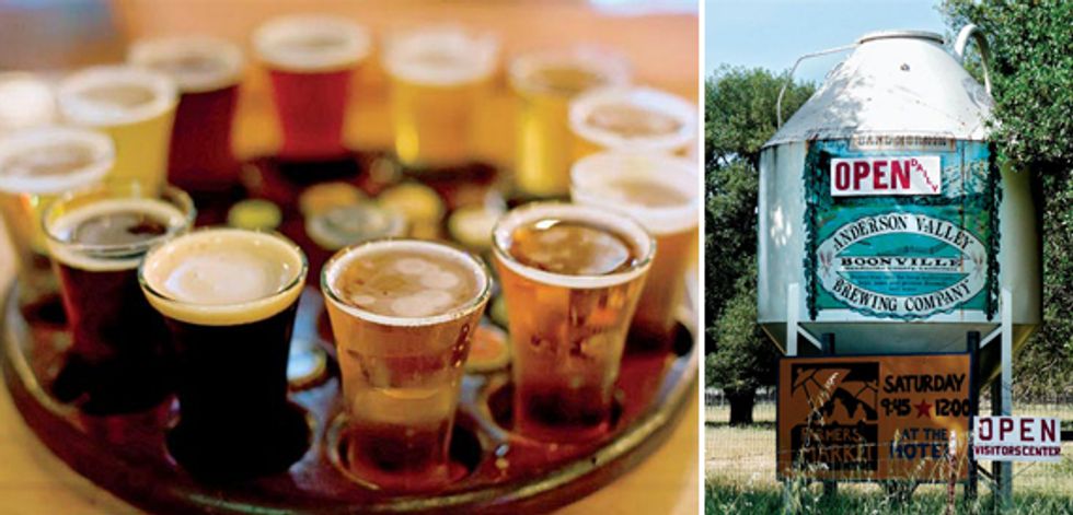 Beer Hopping: A Craft Brewery Tour of Sonoma and Mendocino Counties