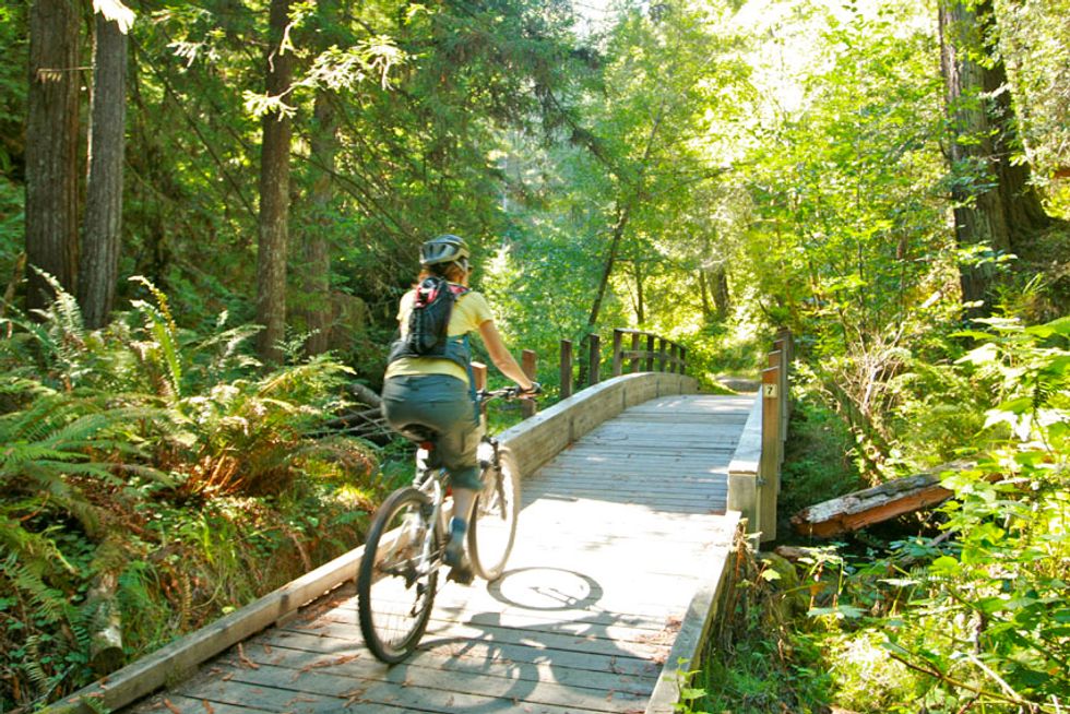 Weekend Sherpa: Bike Ride Fern Canyon Trail
