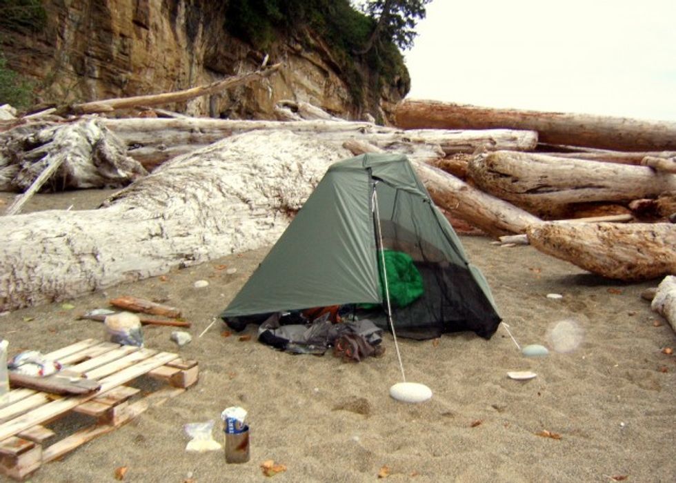 From Gizmodo to Scuttlefish: A Definitive Guide to Oceanic Fun in San Francisco