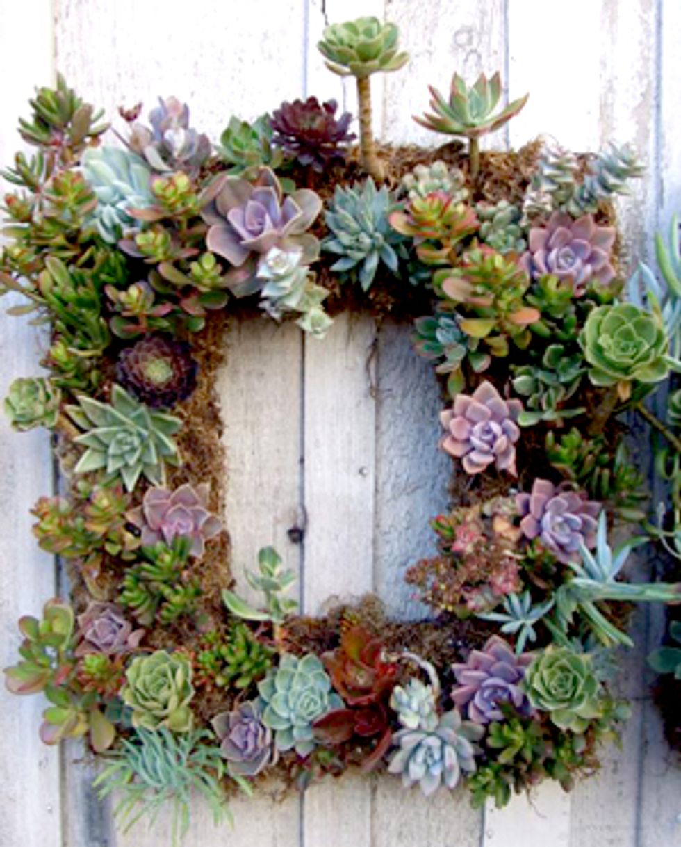 Stuff We Like: Succulence Wall-Hangings, Bingo at Riptide, Population Salon, Nijiya Market, Seedstore and Real Estate Report