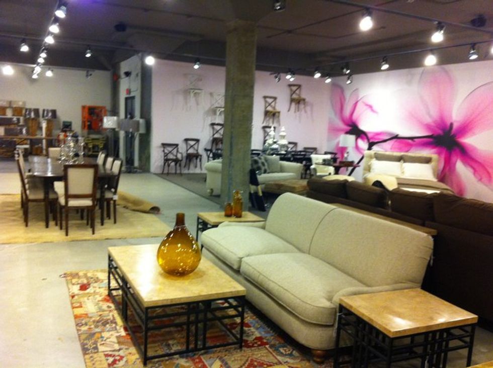 H.D. Buttercup Comes to San Francisco