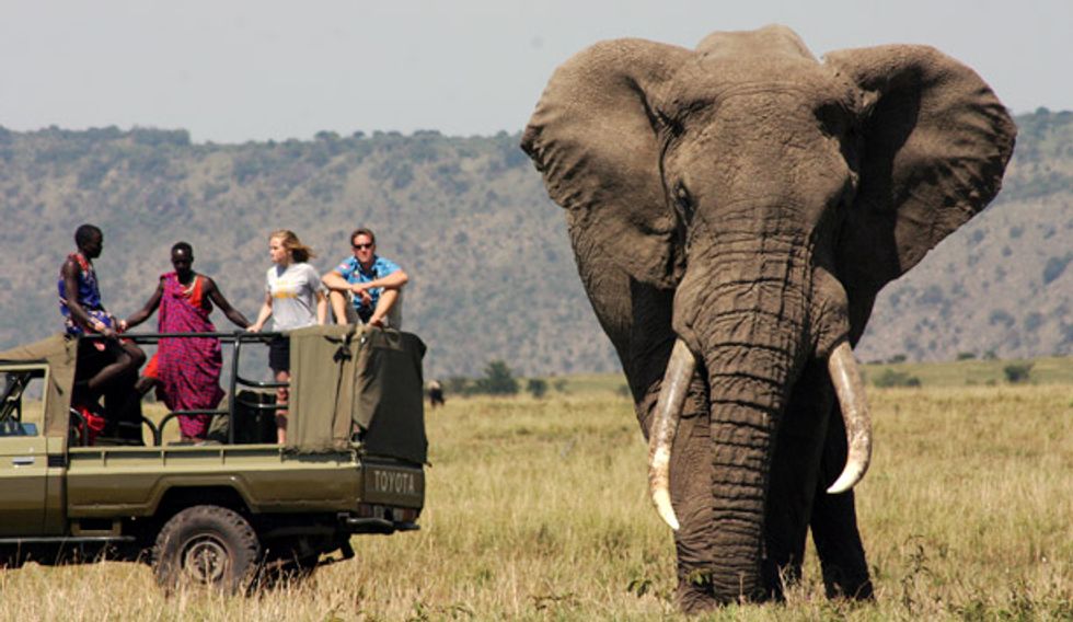 Jetsetter Trip of the Week: Merry Christmas, Here's a Safari