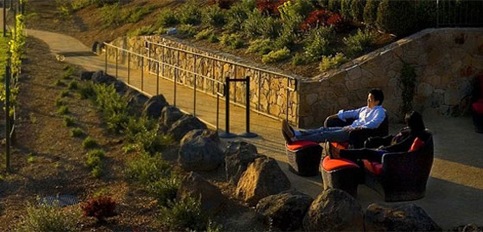 Sparkling Wine: A Tour of Napa Valley